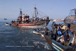 Image du Maroc Professionnelle de  Pêche